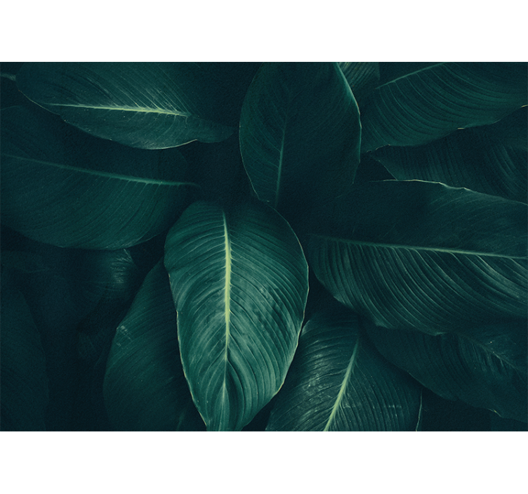 Fototapety na stenu priroda bujná listová textúra - Tenstickers