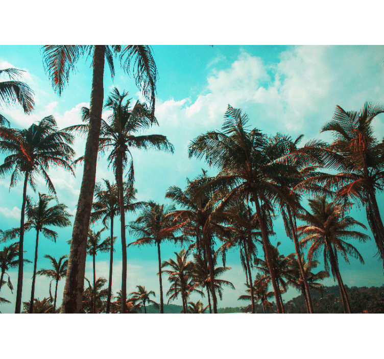 Fototapety na stenu priroda raj palmových stromov - Tenstickers