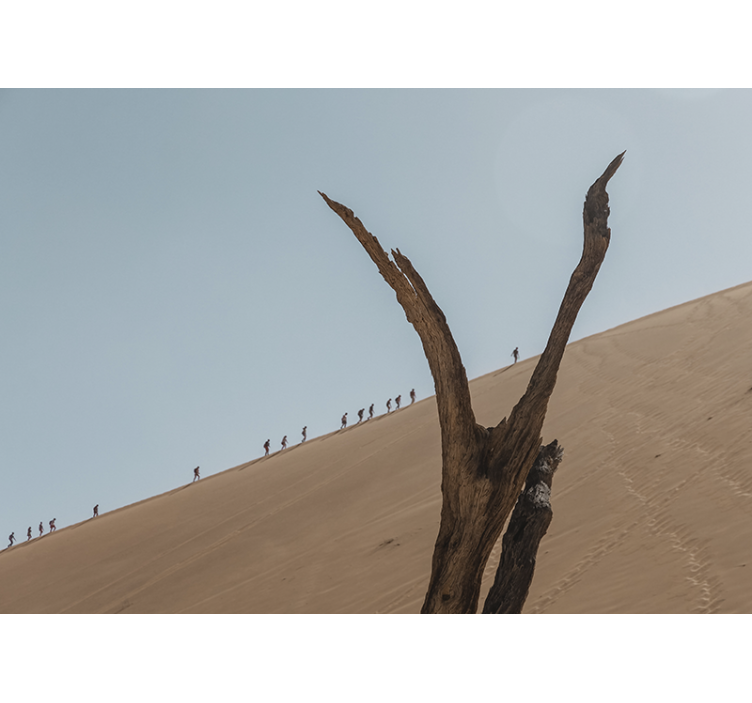 fototapeta púšt silueta dunových turistov - Tenstickers