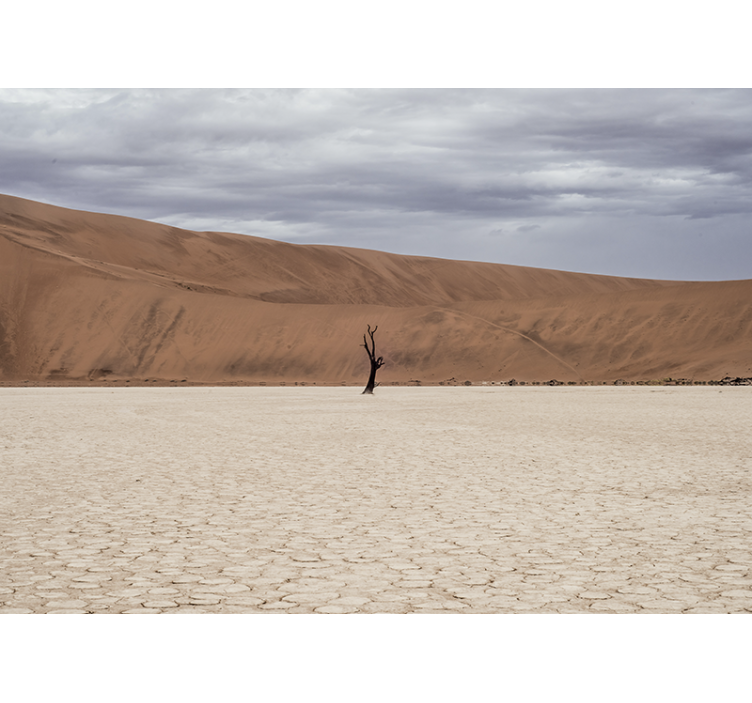 Fototapety hory pohľad na púštnu krajinu - Tenstickers