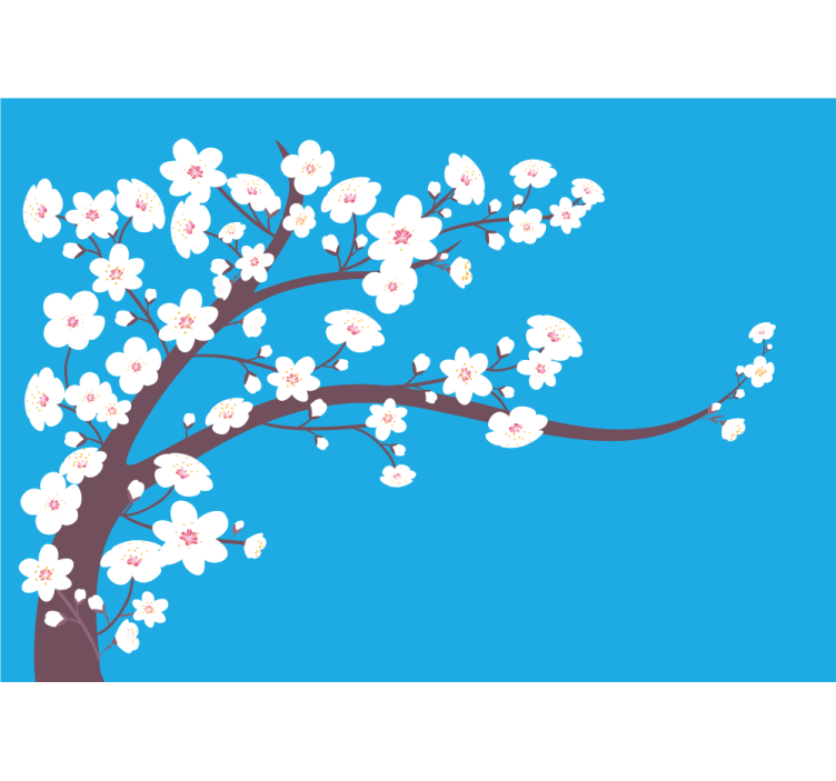 Fototapeta kvety sakura kvitnúca konár - Tenstickers