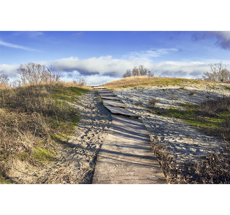 Krajinka fototapety drevená cestička v krajine - Tenstickers