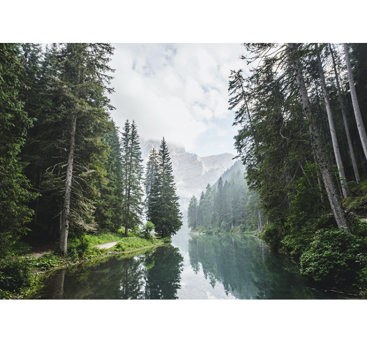 Krajinka fototapety pokojný lesný ozveny - Tenstickers