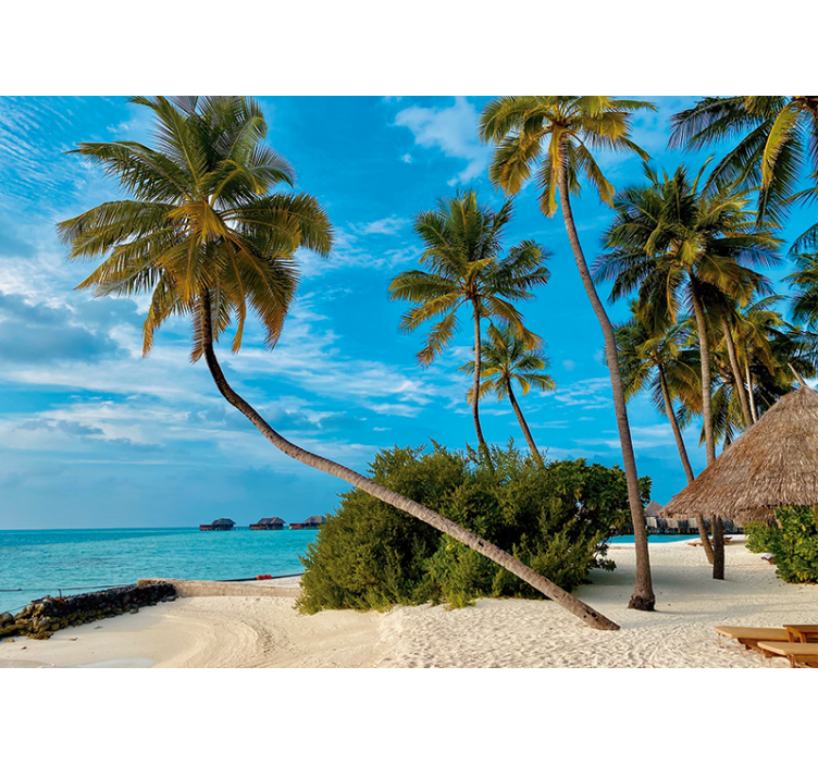 Fototapety na stenu priroda tropická palma krajina - Tenstickers