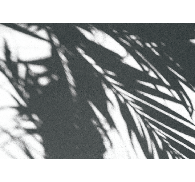 Fototapety na stenu priroda palmové vzory v tieni - Tenstickers