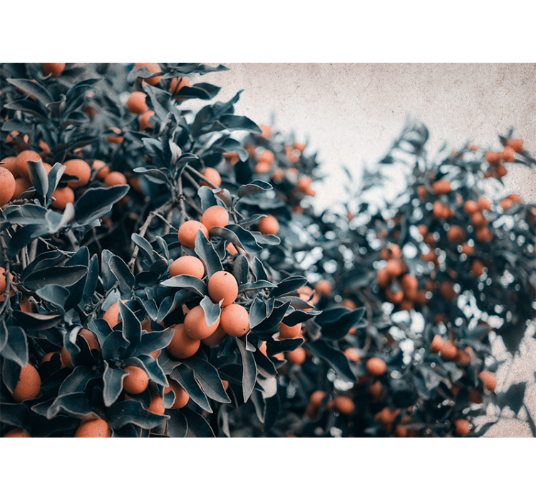 Obraz na obrazy na stenuoranžové ovocie na strome v obývacej izbe - Tenstickers