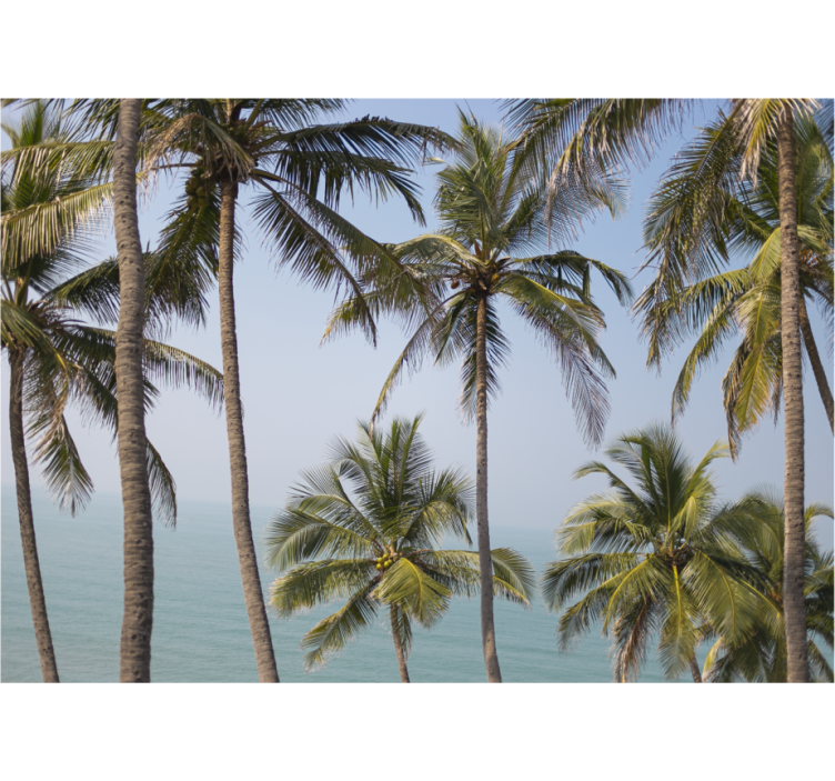 Fototapety na stenu priroda krajina s palmami - Tenstickers