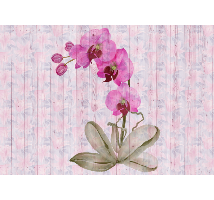 Fototapeta kvety ružové orchidey v kvete - Tenstickers