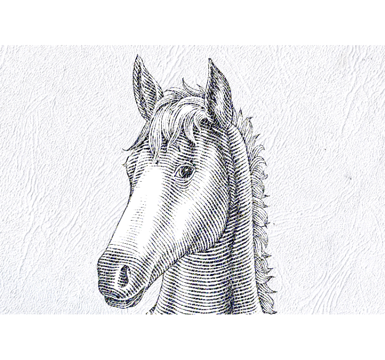 Fototapety so zvieratami elegantný portrét koňa - Tenstickers