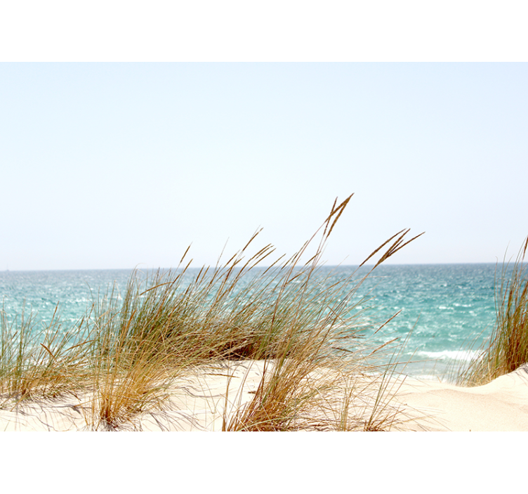 Fototapety na stenu priroda pokojný pohľad na pobrežie - Tenstickers