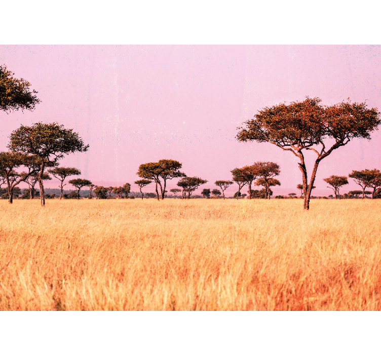 Pôvodná fototapeta africká savana afrika - Tenstickers