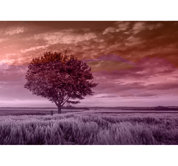 fototapety na stenu les silueta osamelého stromu - Tenstickers