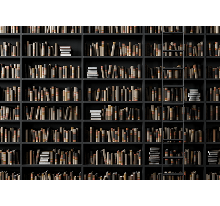 Police na knihy optická ilúzia 3d fototapeta - Tenstickers