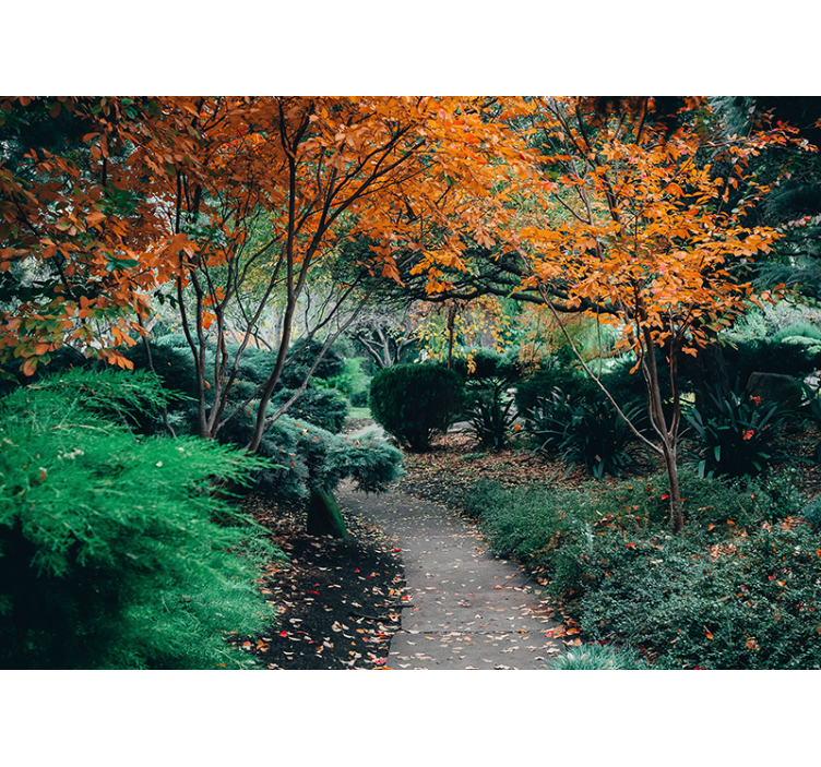 Fototapety na stenu priroda cesta medzi stromami - Tenstickers