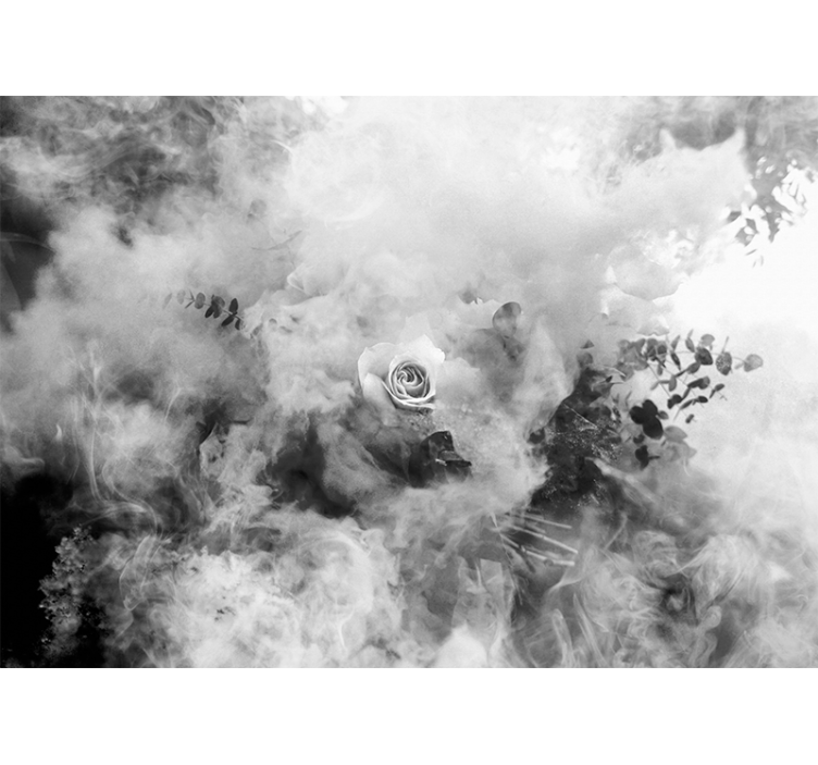 Fototapeta kvety éterická biela ruža - Tenstickers