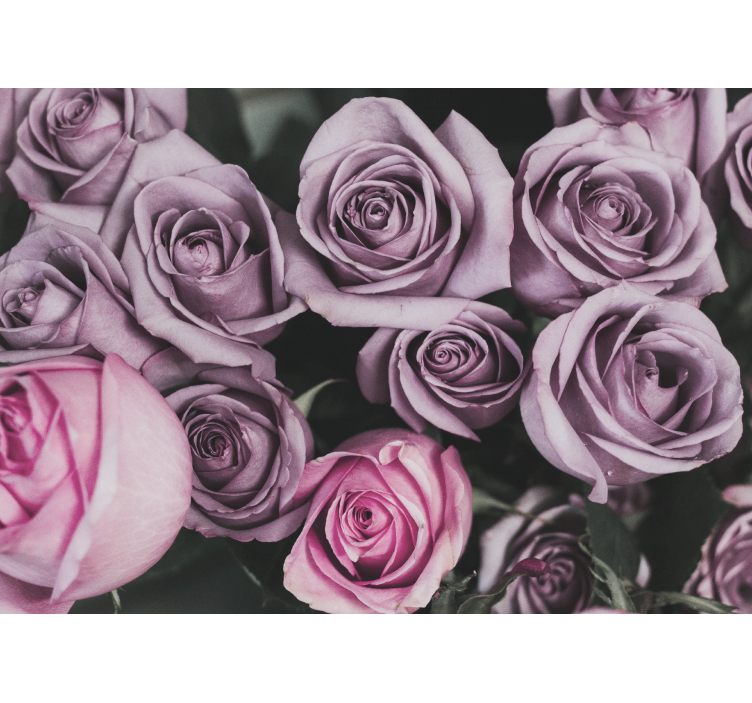 Fototapeta kvety levanduľová ružová kytica - Tenstickers