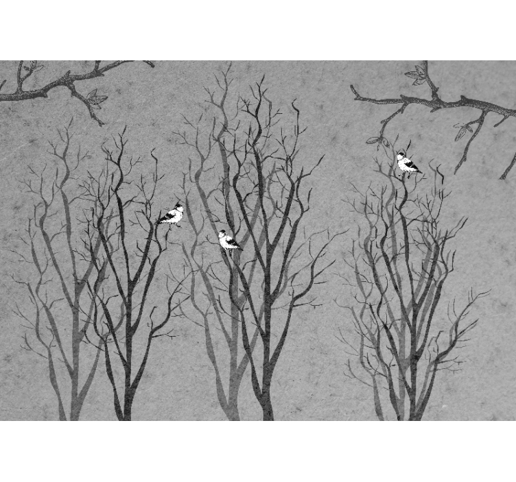 Fototapeta stromy konáre s vtákmi - Tenstickers