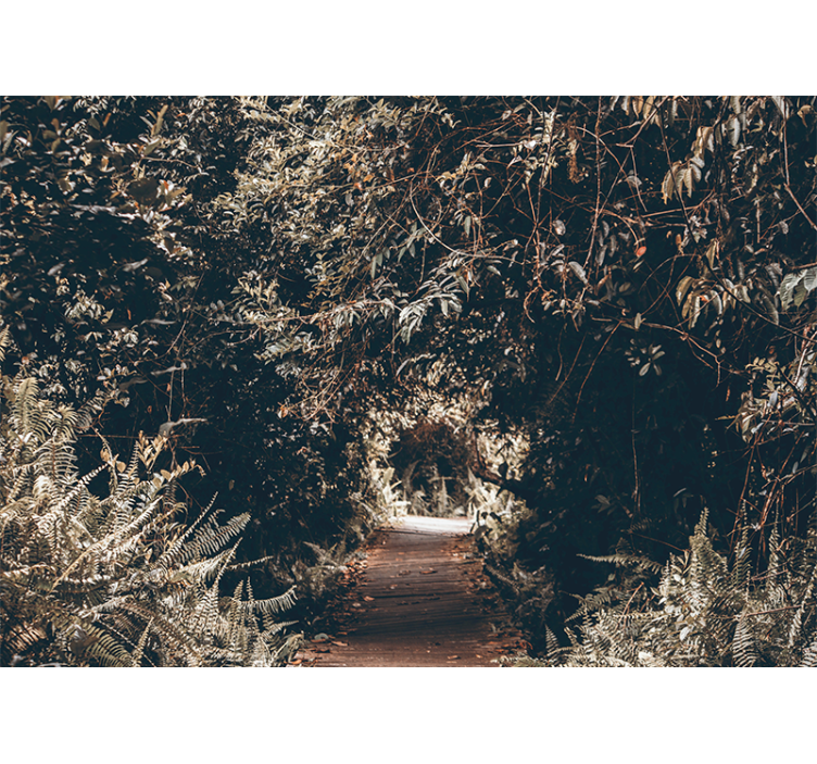 Fototapety na stenu priroda lesná chodníková cesta - Tenstickers