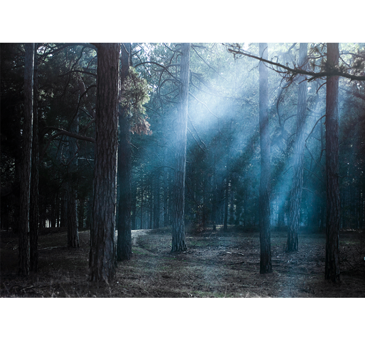 fototapety na stenu les hmlistá hmlistá cesta - Tenstickers