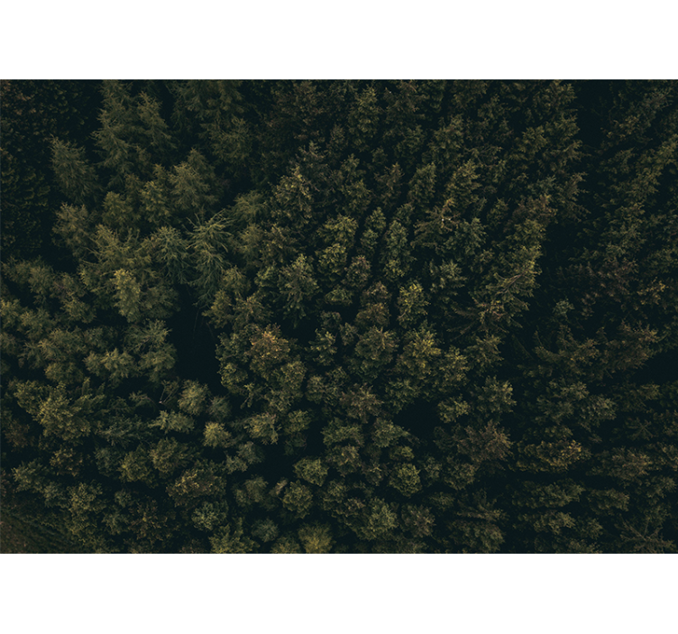 "príroda" letecký pohľad zelená príroda nástenná fototapeta - Tenstickers