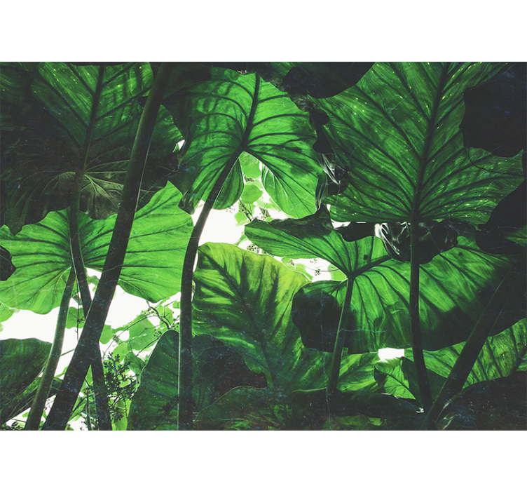 Fototapety na stenu priroda bohatá listová koruna - Tenstickers