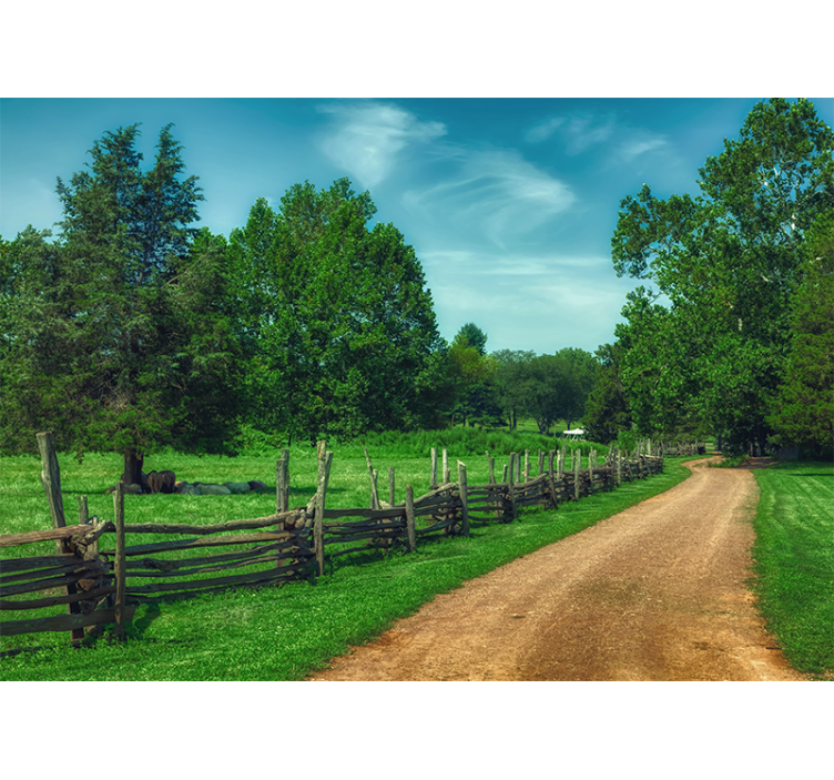 Krajinka fototapety Živá zelená cesta - Tenstickers