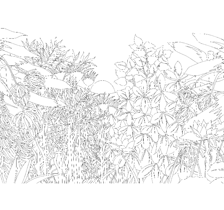 Fototapeta tropická džungľa skica lesa - Tenstickers