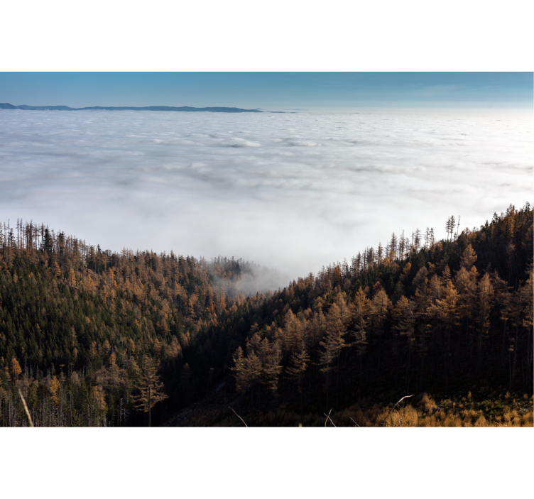 Fototapeta na stenu Tatry v hmle - Tenstickers