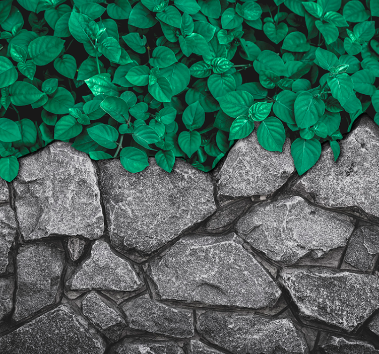 fototapety na stenu do obyvacky lístie a kameneListy a kamene - Tenstickers