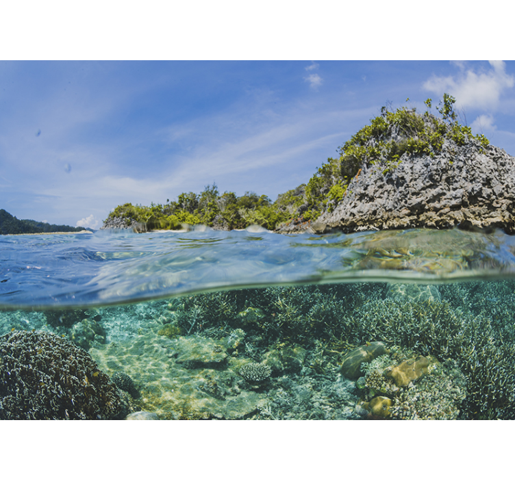 krajinka fototapety podmorská prímorská krajina - Tenstickers