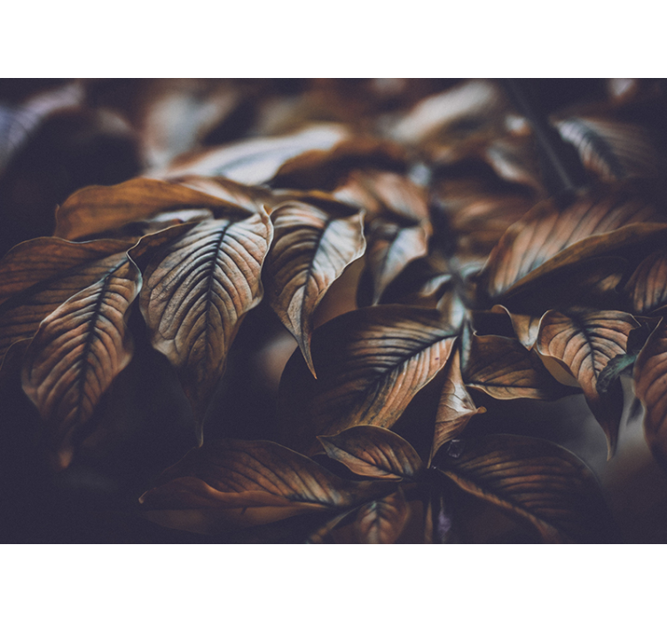 Zlaté listy prírodná maľba na stenu - Tenstickers