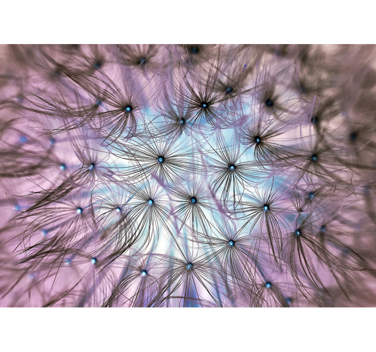 fototapety fantasy púpavový blud - Tenstickers