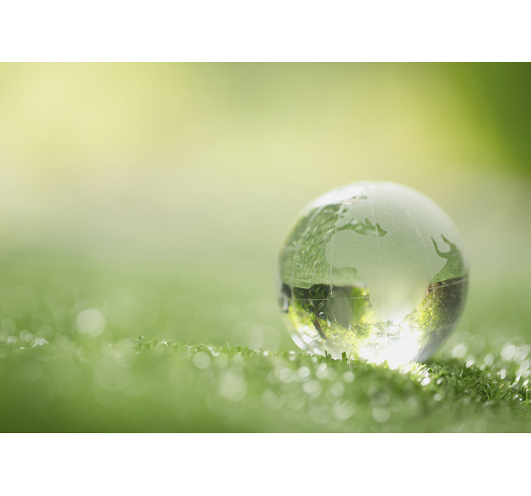 Lesná stena nástenná maľba kvapka vody po tráve - Tenstickers