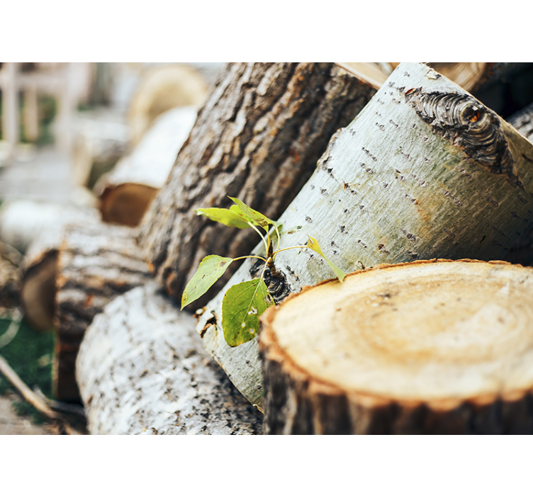 Zelené listy na stene lesné drevo strom nástenná maľba - Tenstickers