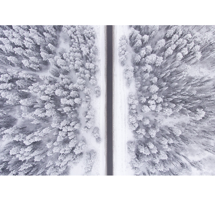 krajinka fototapety zimný lesný chodník - Tenstickers