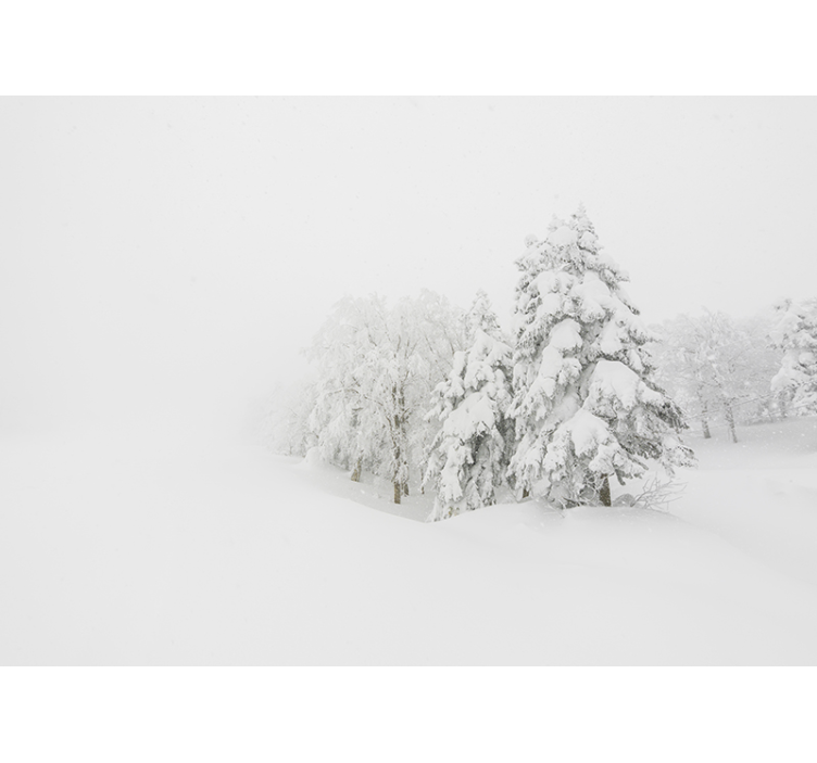 Fototapety na stenu priroda zimný lesný scenár - Tenstickers