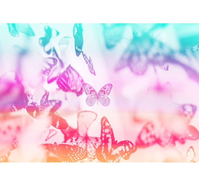 Fototapeta kvety v motýľom záhradnom prostredí - Tenstickers