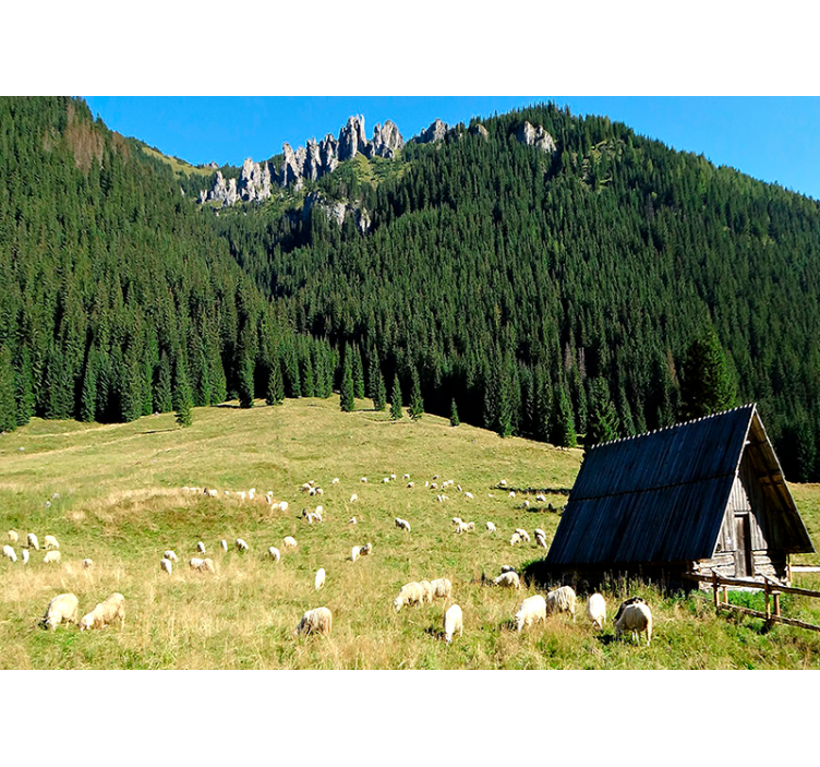 Tatry hory hora fototapeta - Tenstickers