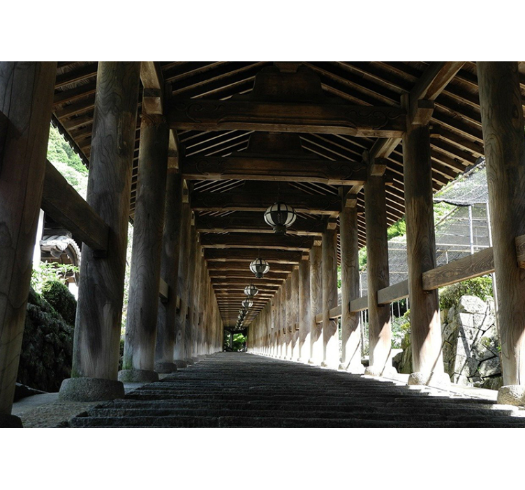 Fototapety na stenu les pohľad na drevenú cestu - Tenstickers