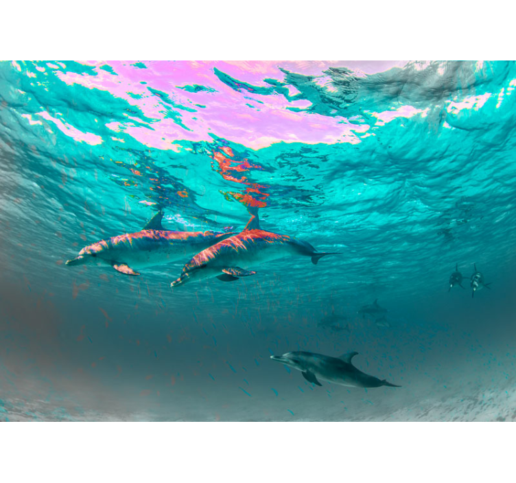 Fototapety so zvieratami delfíny sa hravo hrajú - Tenstickers