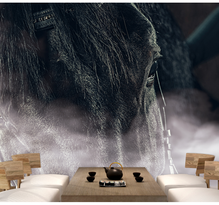 čierny kôň z hmly fototapeta - Tenstickers