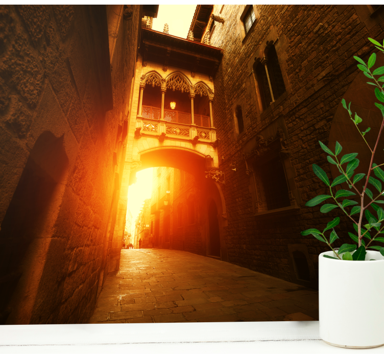 Fototapeta barcelona historický gotický oblúk - Tenstickers