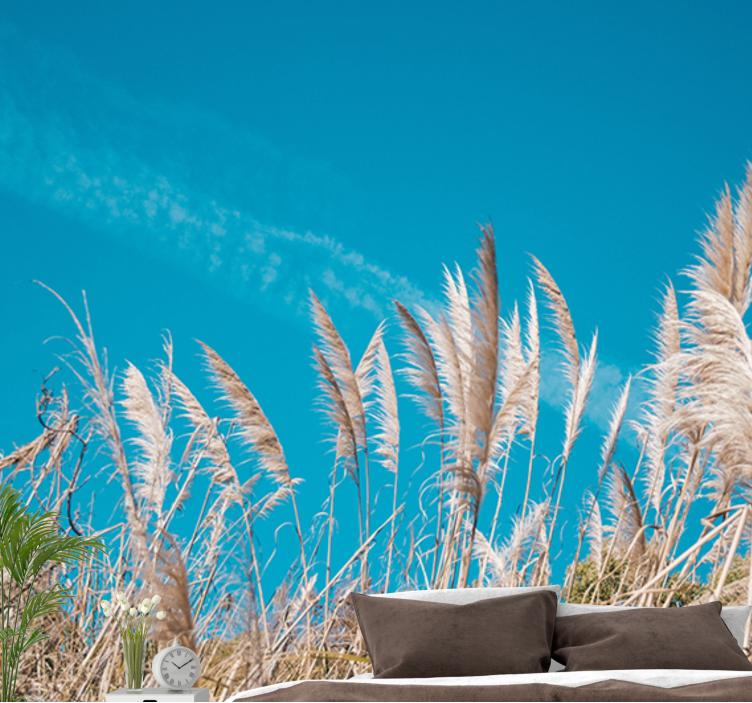 Fototapeta kvety pokoj pampasovej trávy - Tenstickers