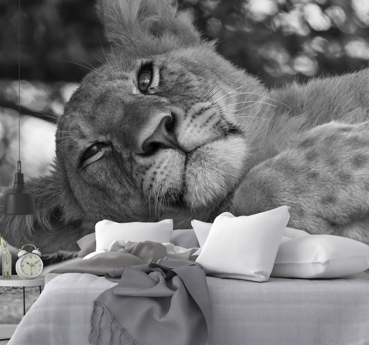 Fototapeta lev majestátne uvoľnenie - Tenstickers