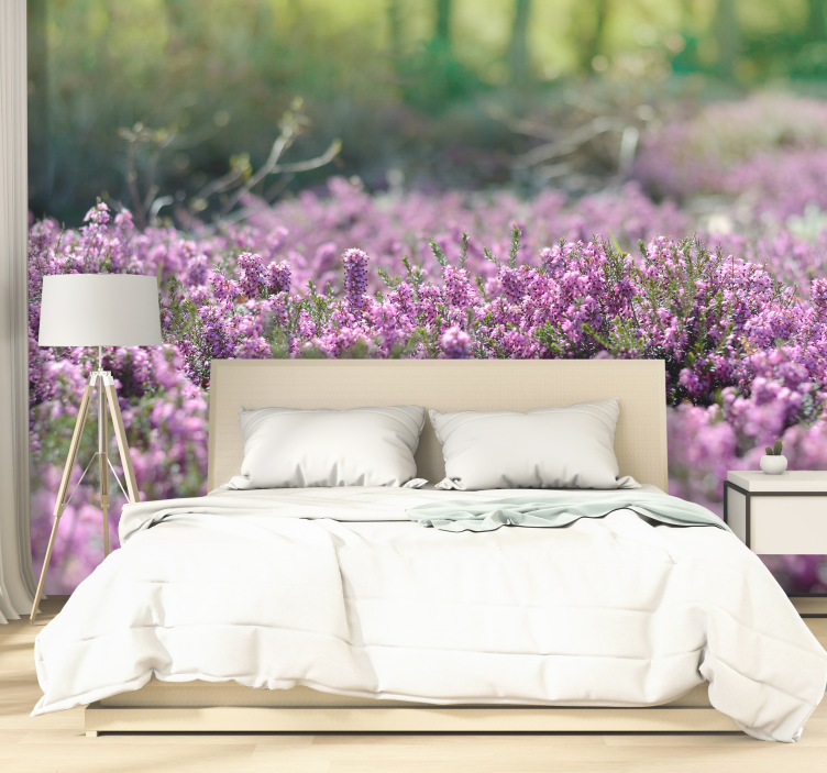 fototapeta kvety kvitnúce vresy - Tenstickers