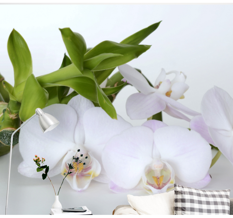 Fototapeta orchidea elegantné usporiadanie orchideí - Tenstickers