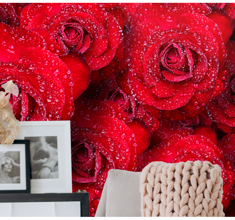 fototapeta ruže červené rozkvitajúce ruže - Tenstickers