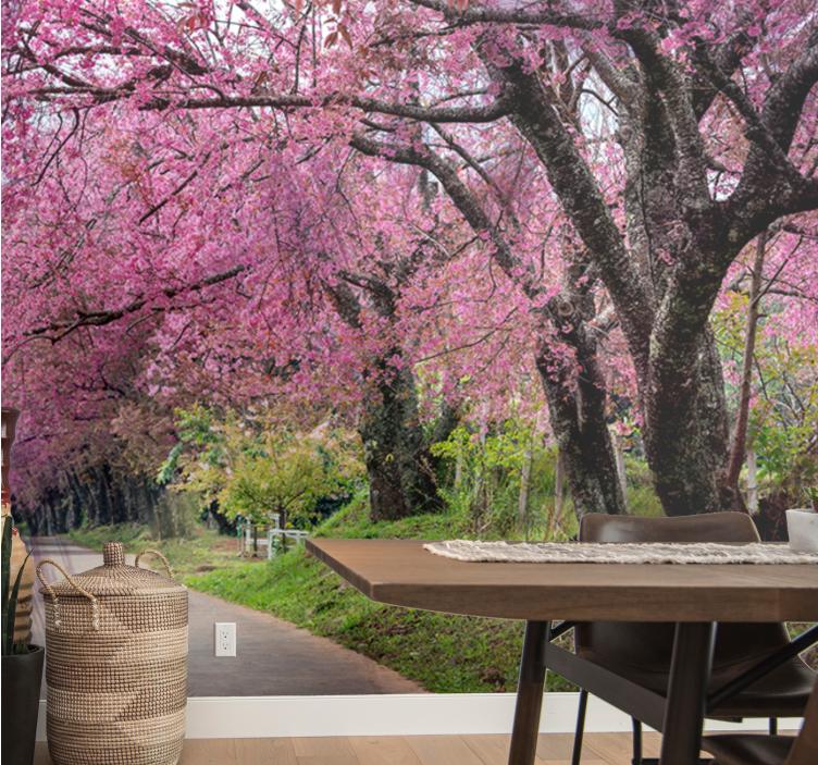 Nástenná fototapeta ružových japonských čerešní - Tenstickers