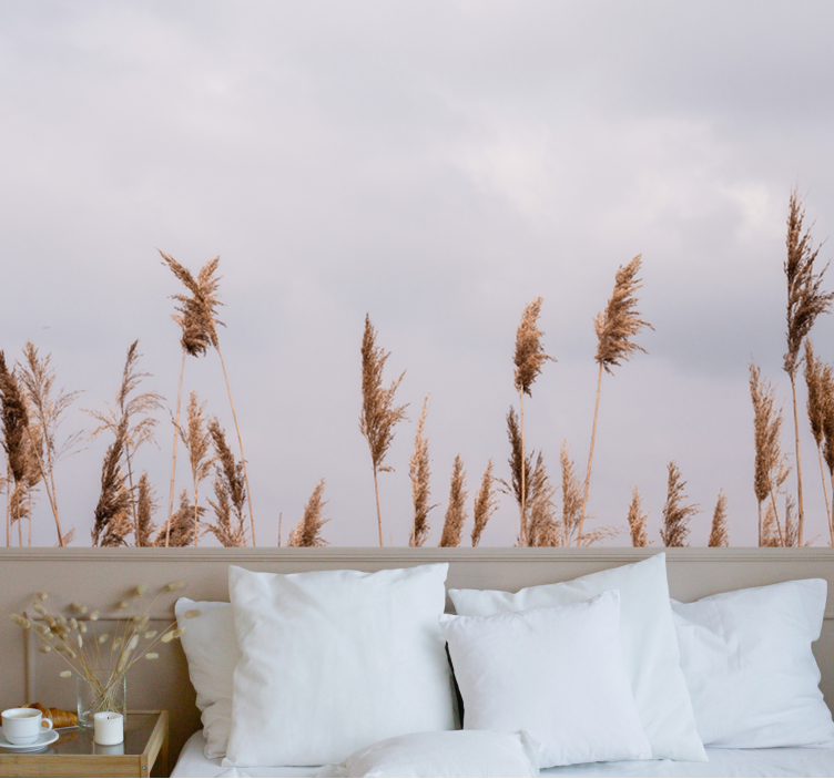 Fototapeta stromy siluety vysokých tráv - Tenstickers