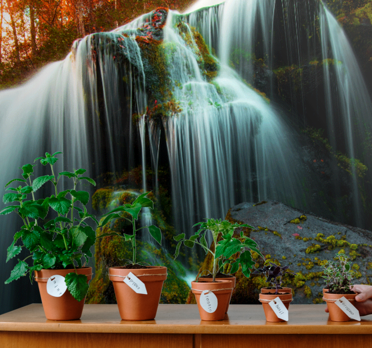 Fototapeta vodopad jemne padajúca voda - Tenstickers